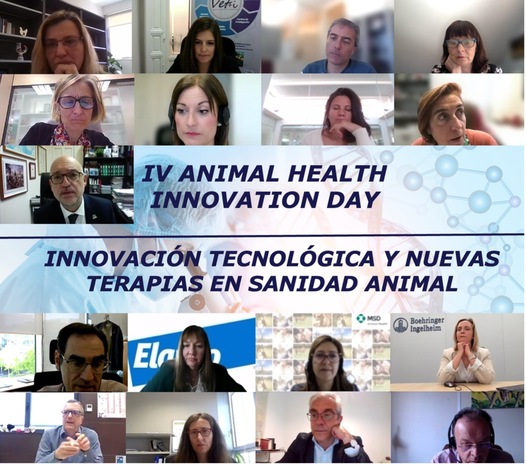 imagen principal noticia